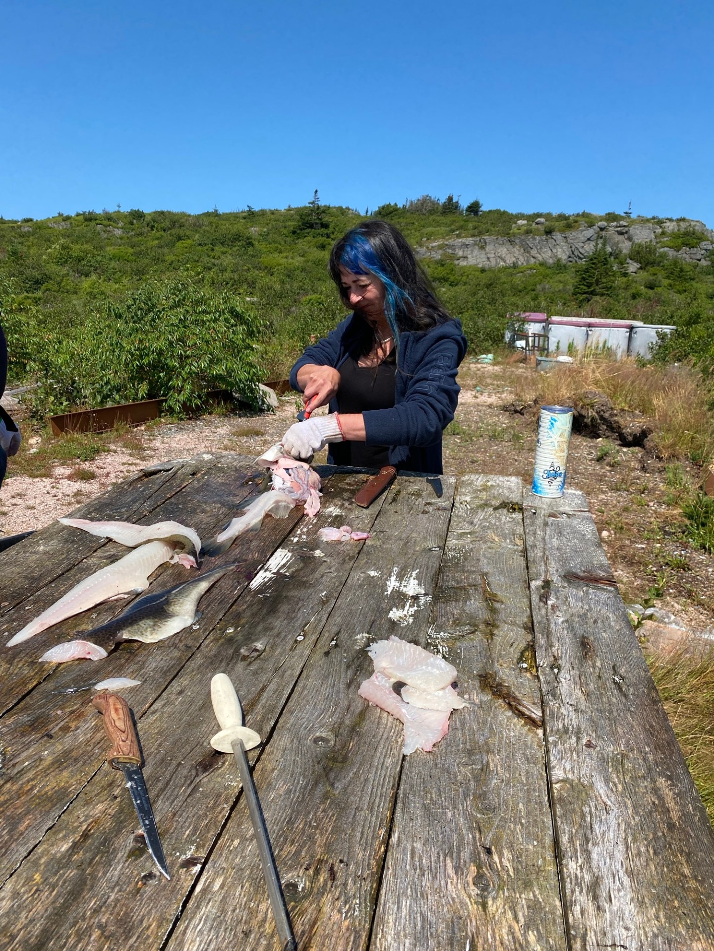 Crispy Fried Cod Recipe: A Newfoundland Classic – Beauty and the Bay